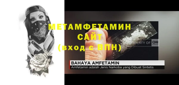 сатива Балахна
