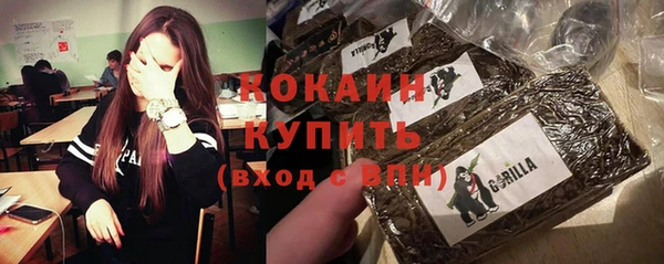 сатива Балахна