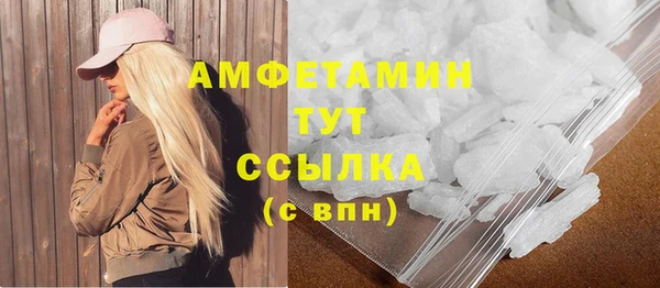 сатива Балахна