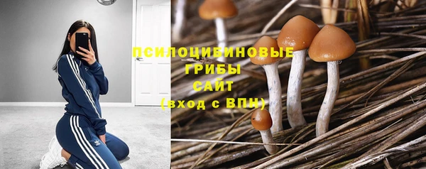 тгк Балабаново